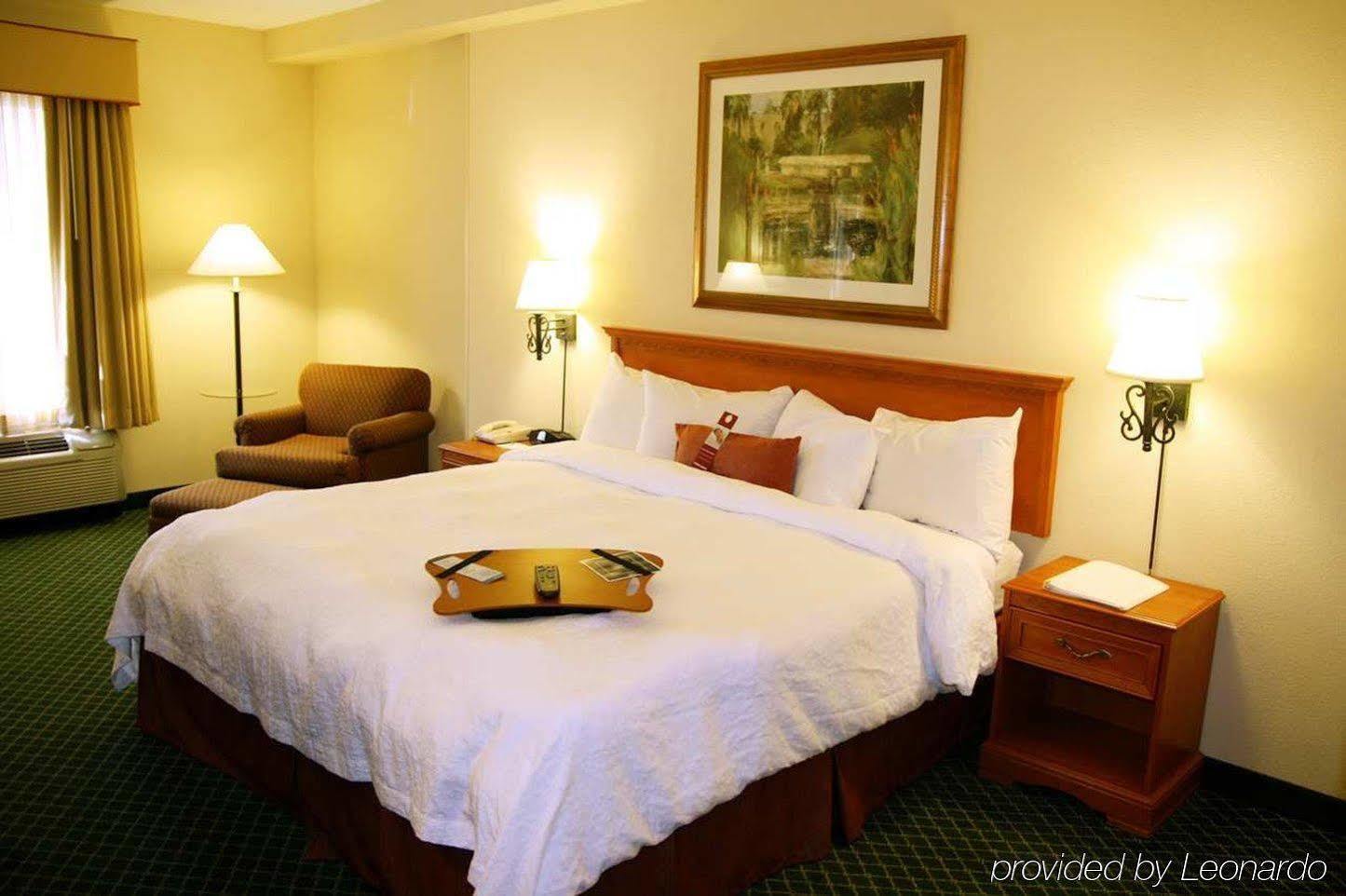 Hampton Inn & Suites St. Petersburg/Downtown Værelse billede